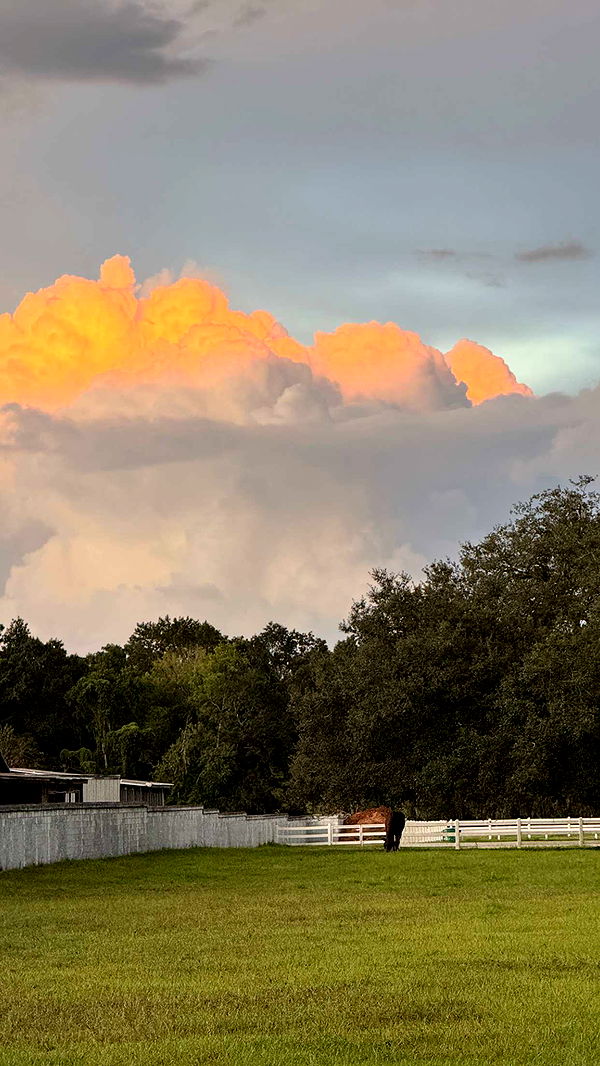 corinnakopf image ~ Altpins