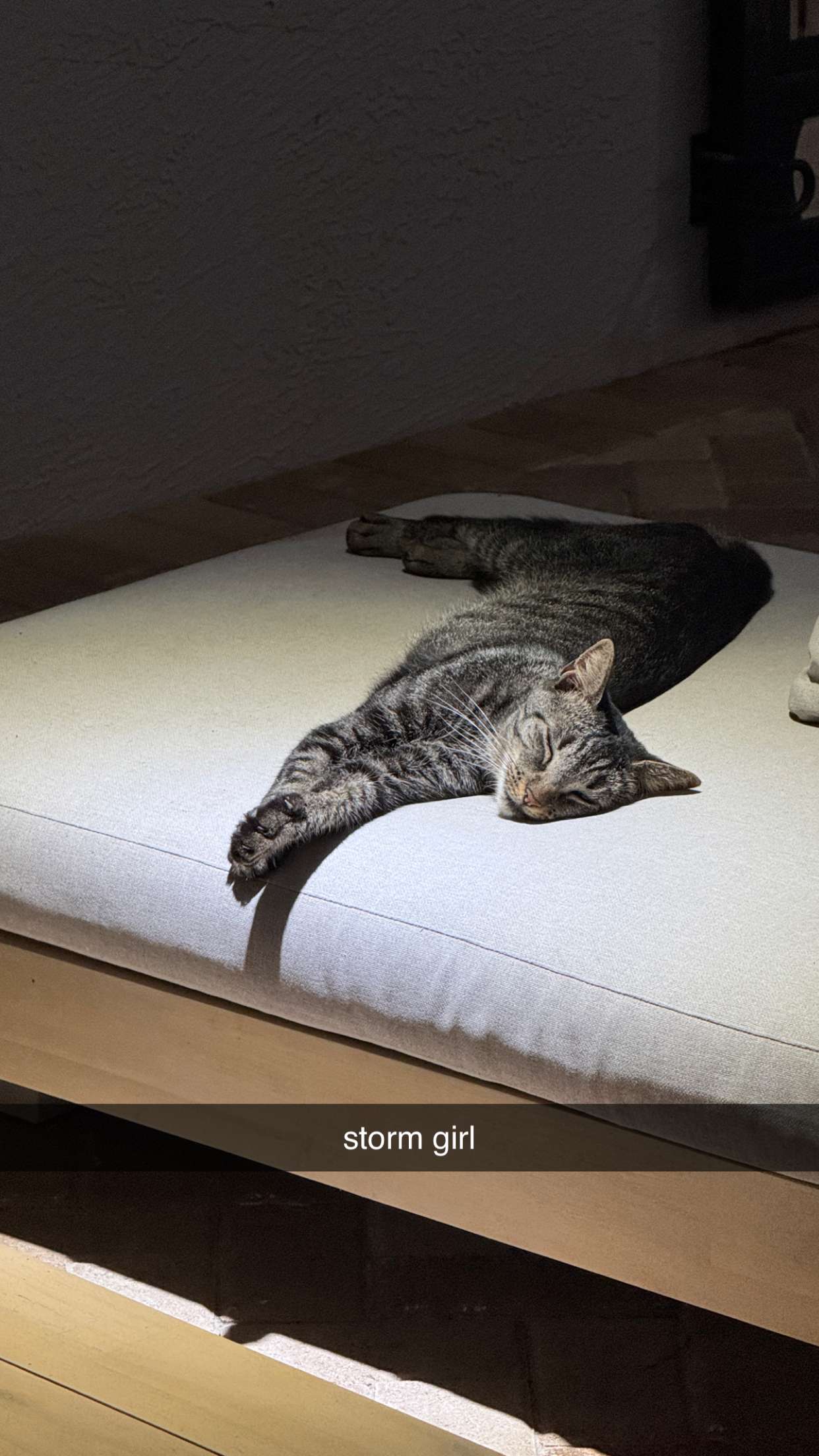 corinnakopf snapchat image archive image