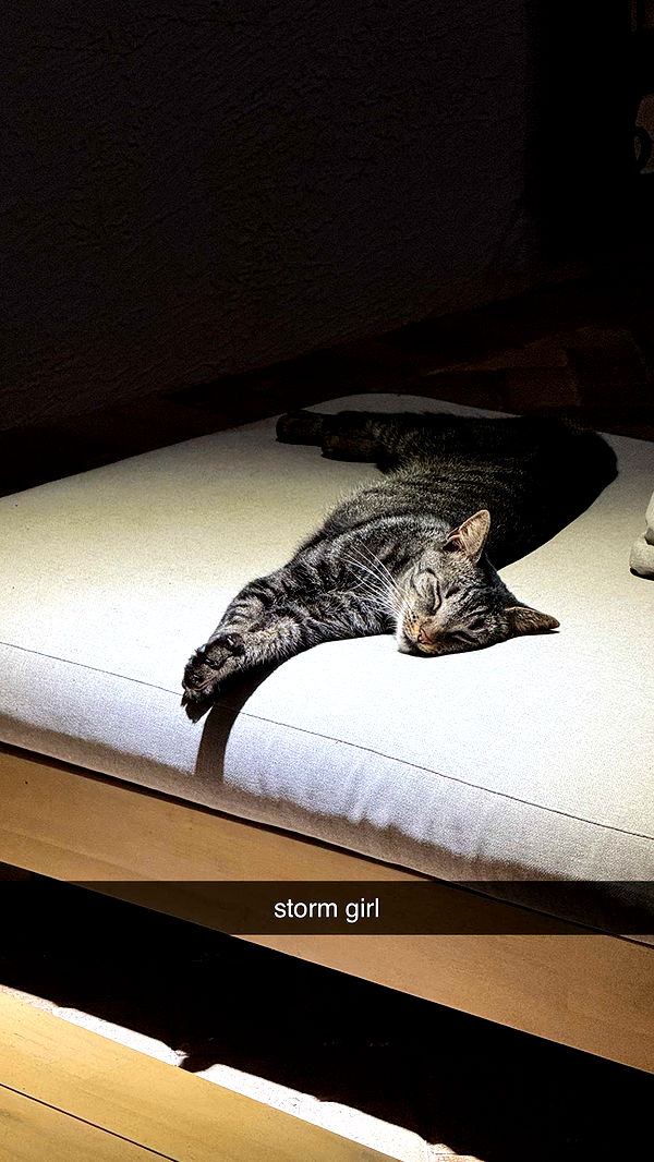 corinnakopf image ~ Altpins