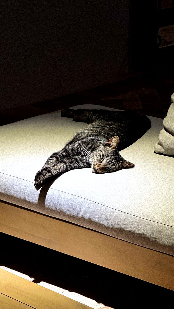 corinnakopf image ~ Altpins