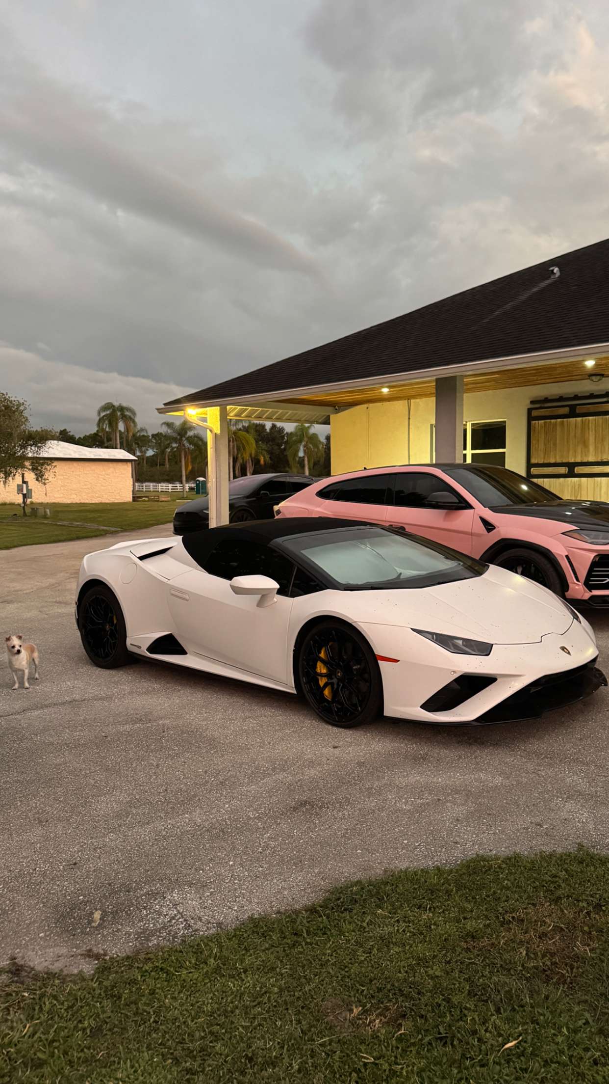 corinnakopf snapchat image archive image