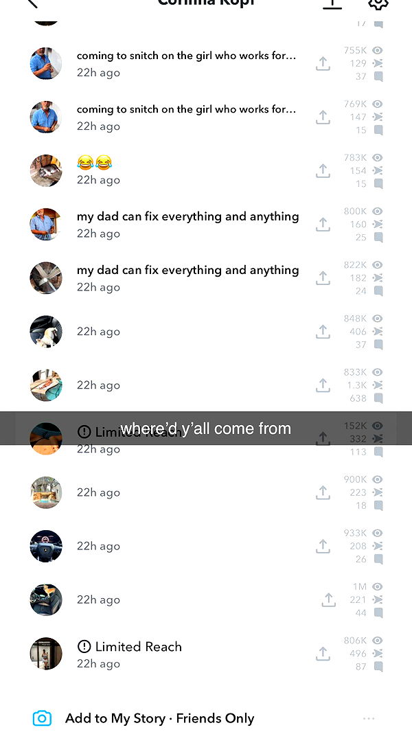 corinnakopf image ~ Altpins