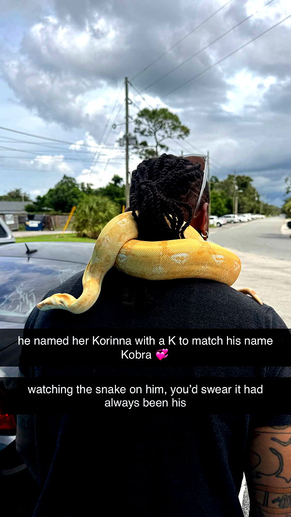 corinnakopf image ~ Altpins