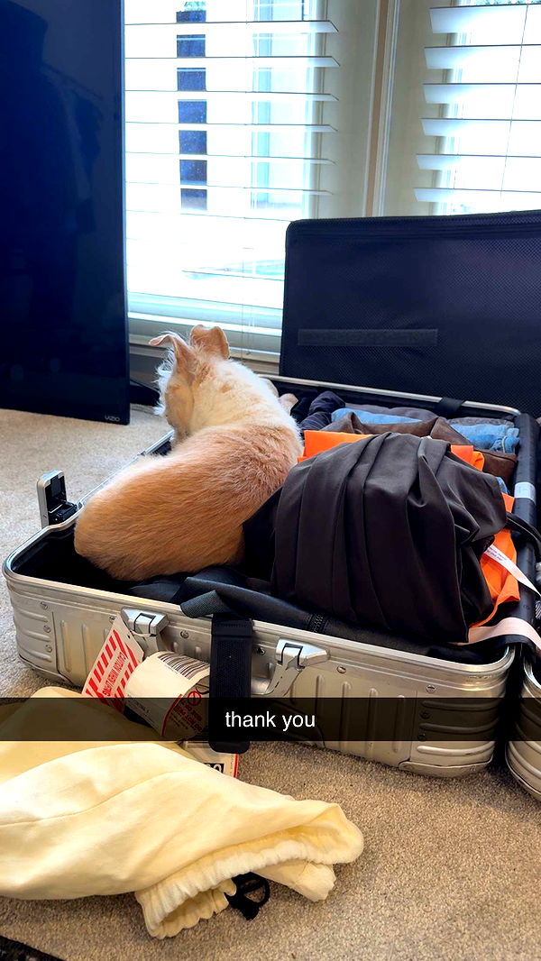 corinnakopf image ~ Altpins