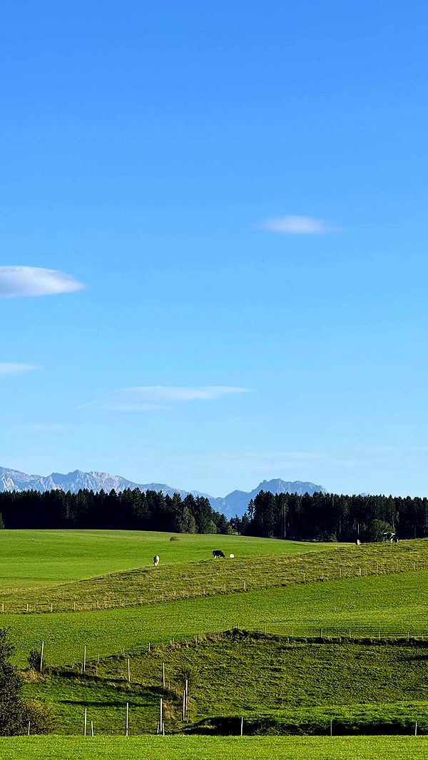 corinnakopf image ~ Altpins