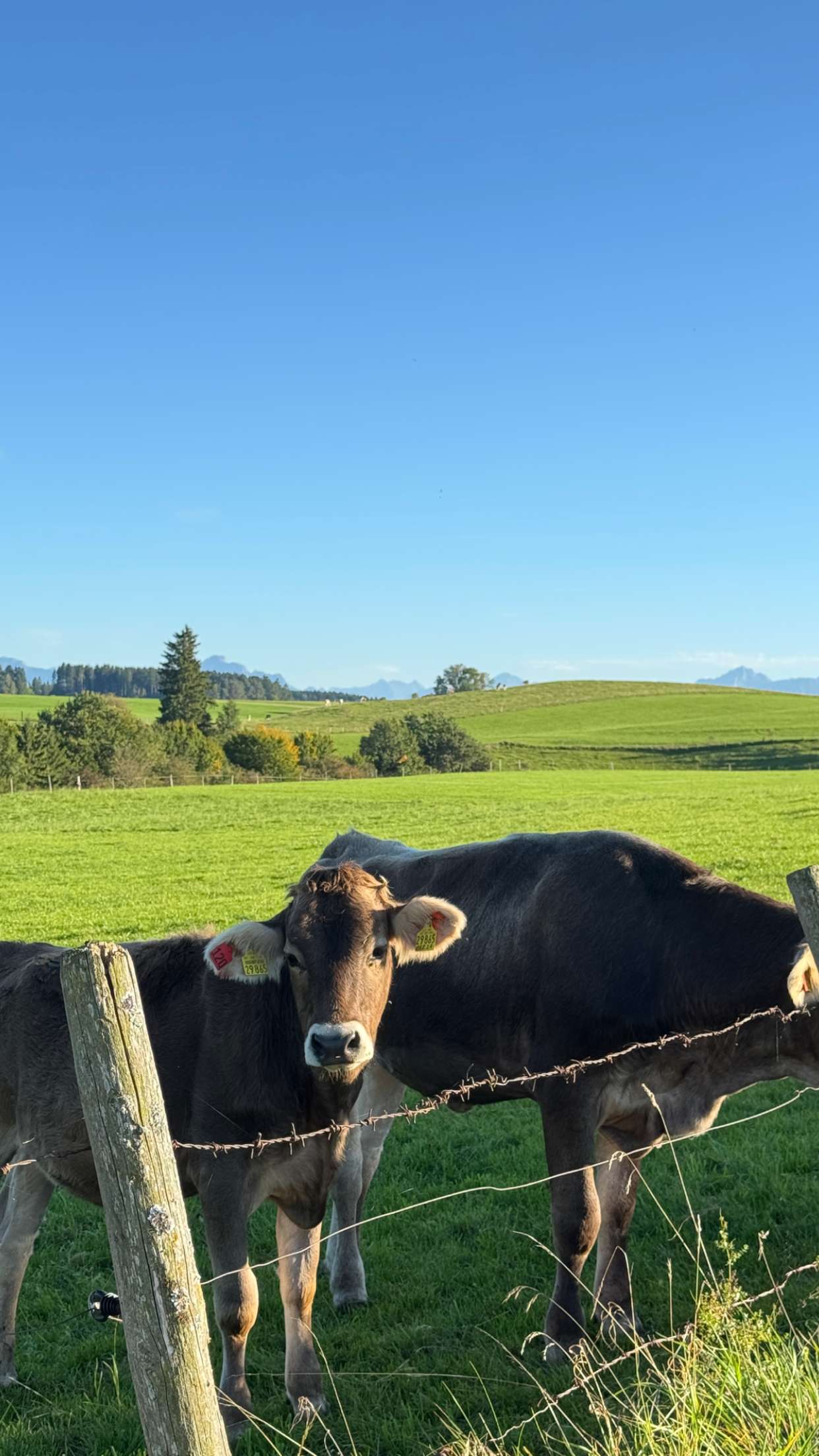 corinnakopf snapchat image archive image