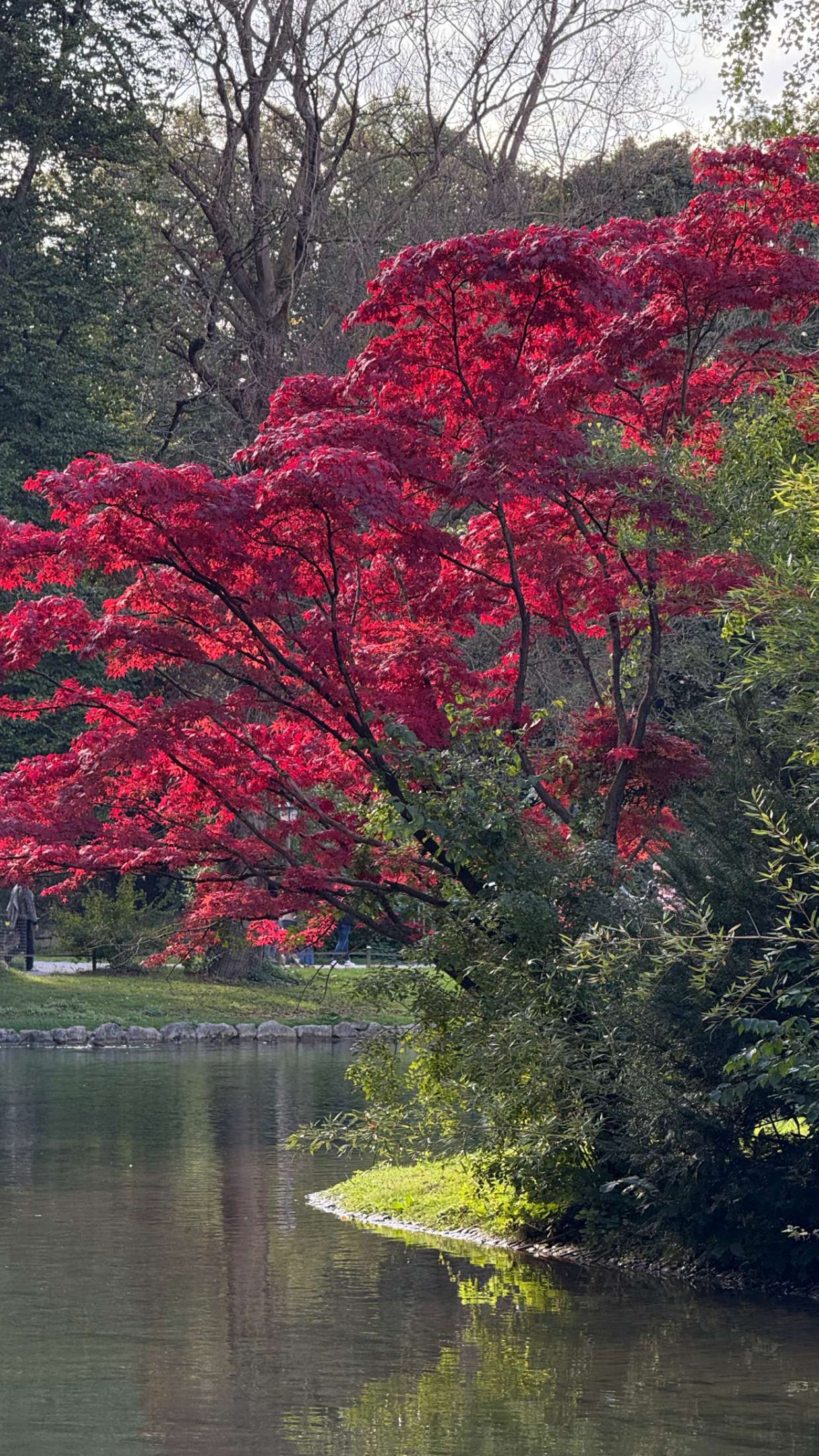 corinnakopf snapchat image archive image