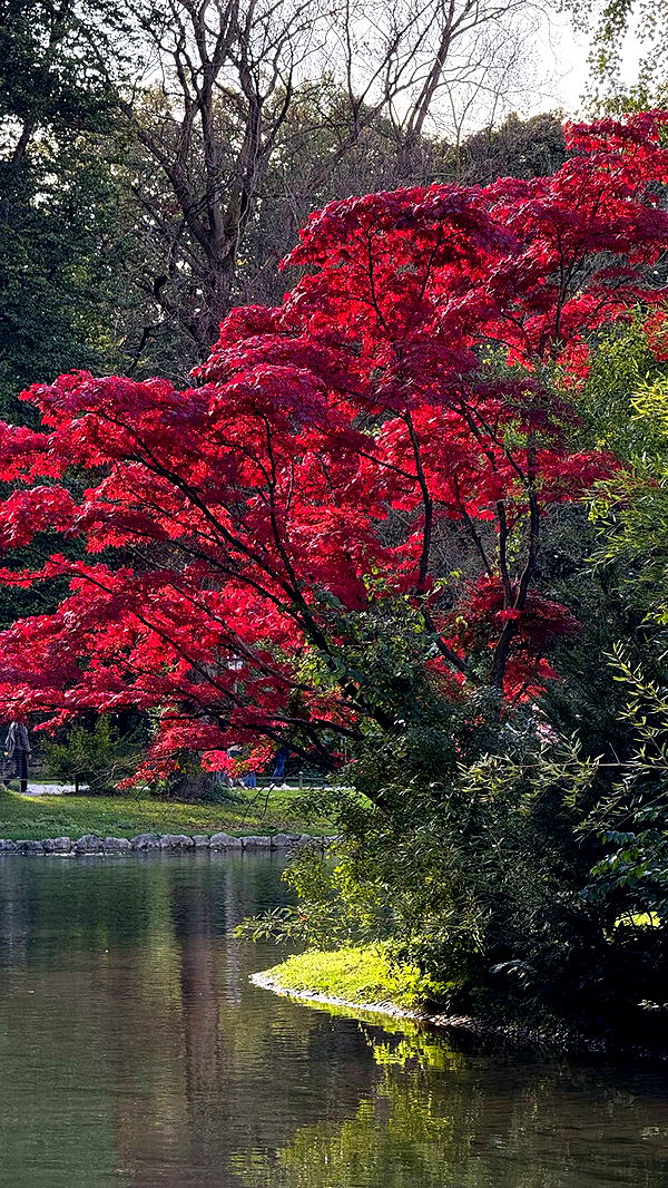 corinnakopf image ~ Altpins