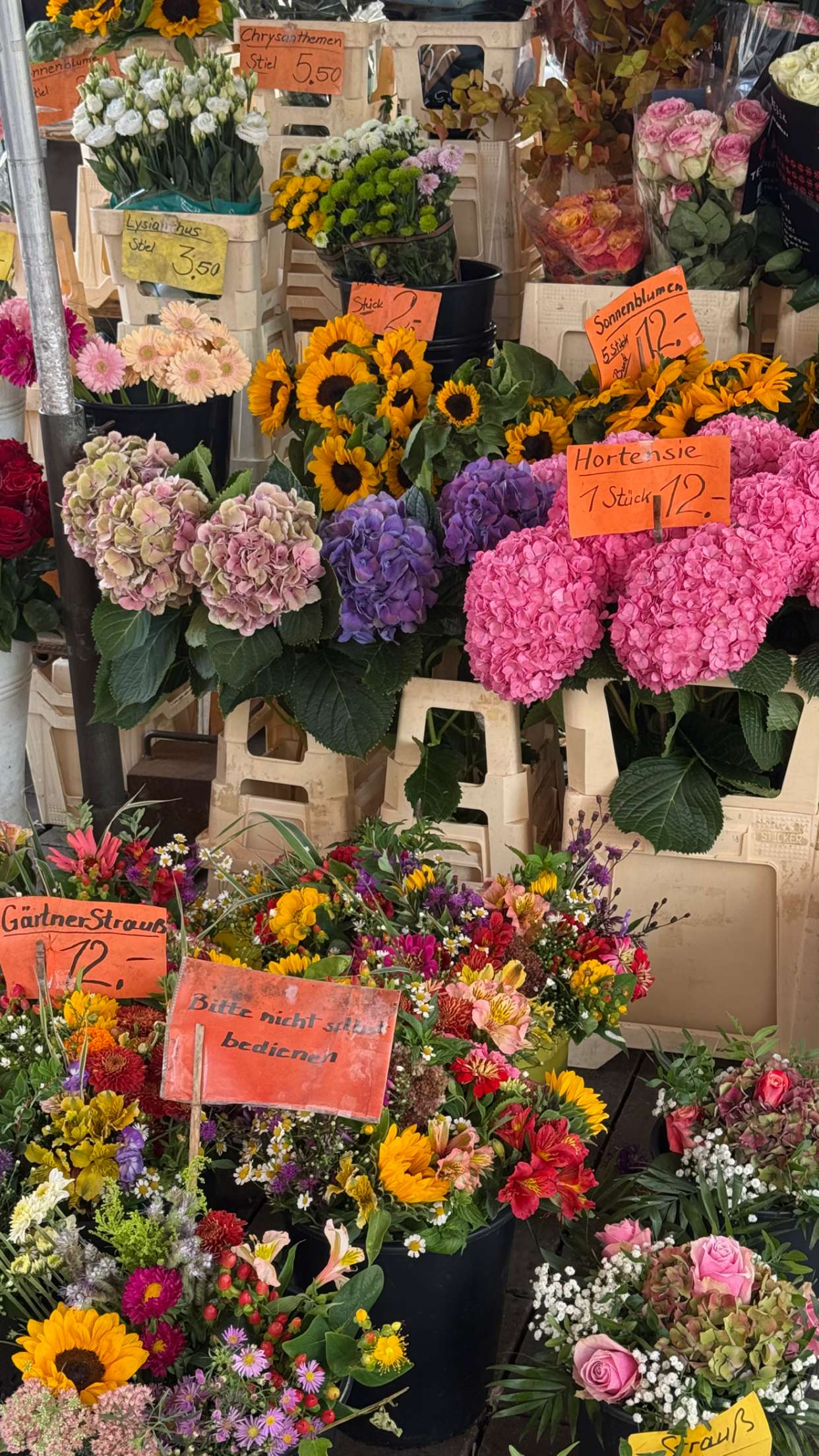 corinnakopf snapchat image archive image