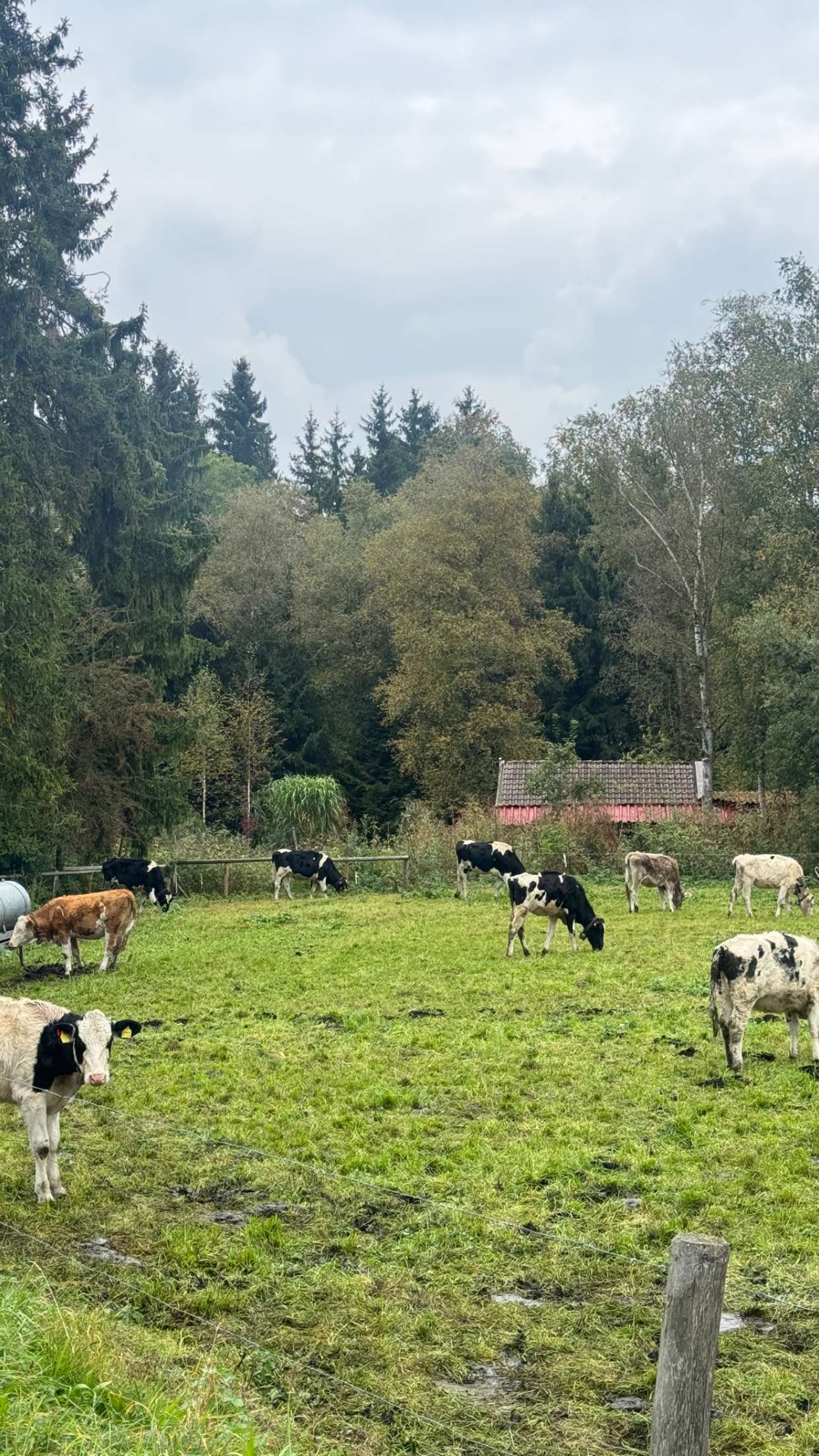 corinnakopf snapchat image archive image