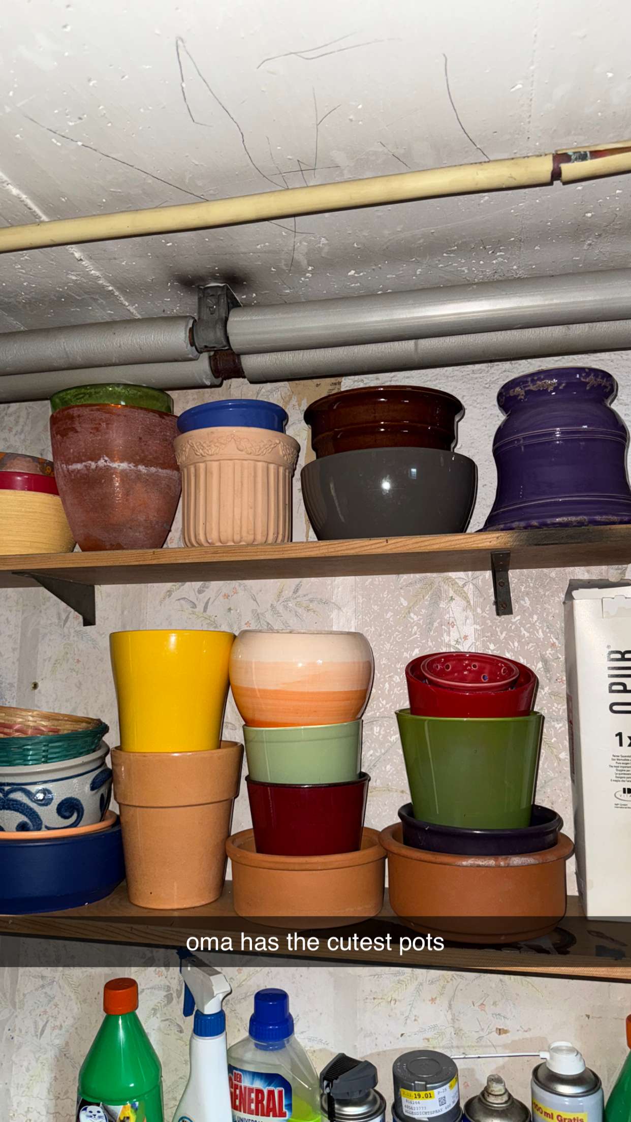 corinnakopf snapchat image archive image