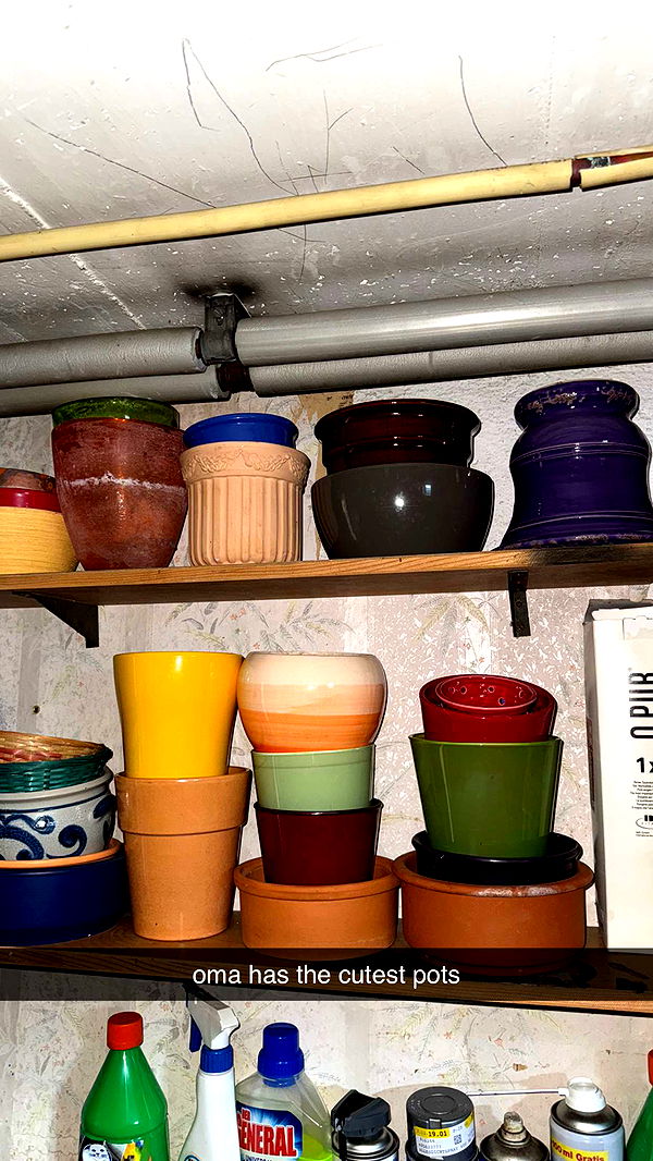 corinnakopf image ~ Altpins