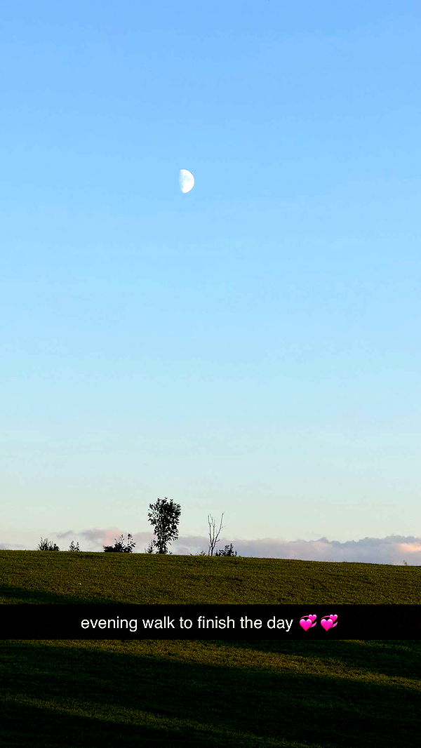 corinnakopf image ~ Altpins