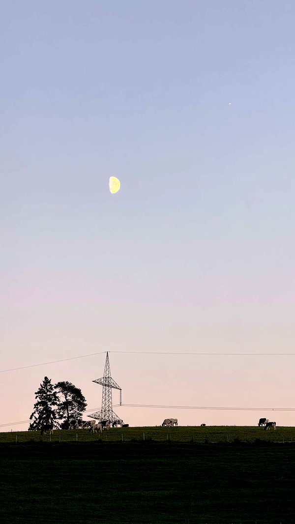 corinnakopf image ~ Altpins