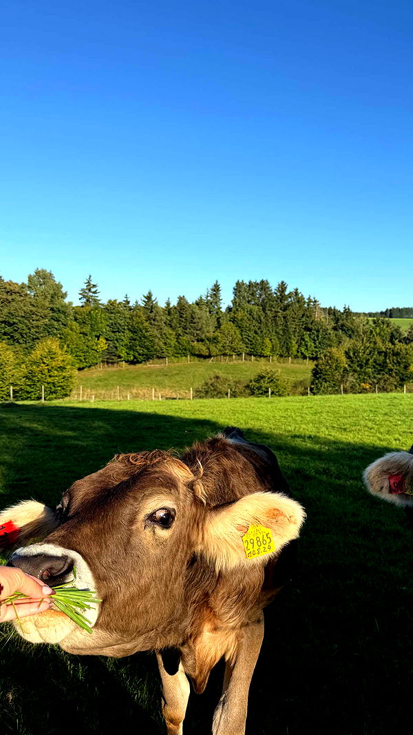 corinnakopf image ~ Altpins