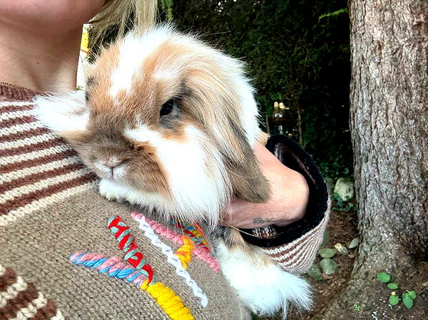 corinnakopf image ~ Altpins