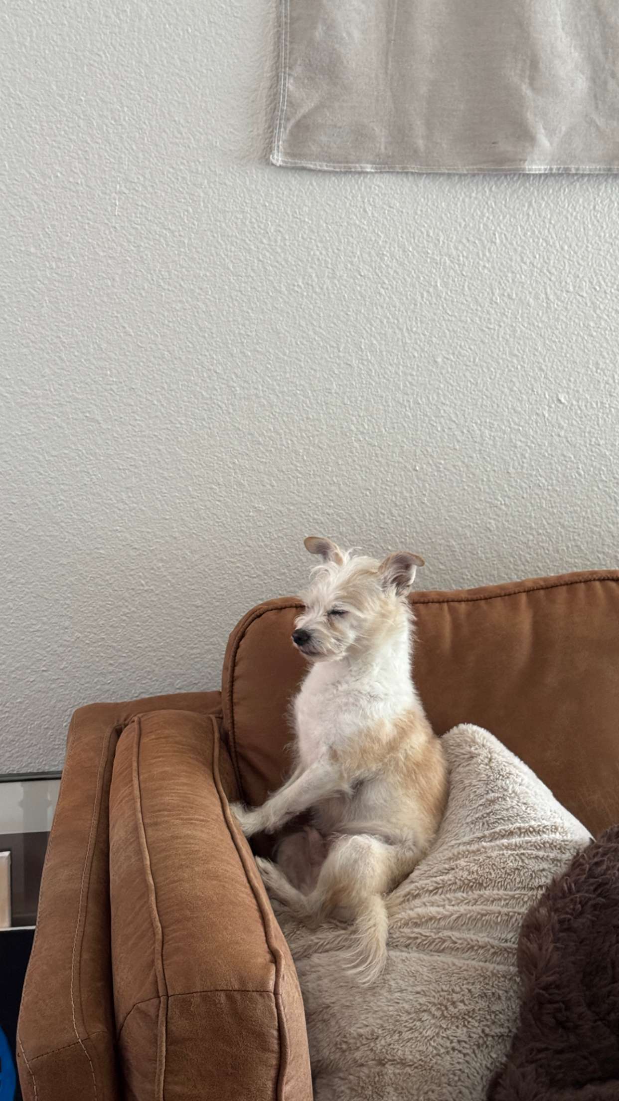 corinnakopf snapchat image archive image