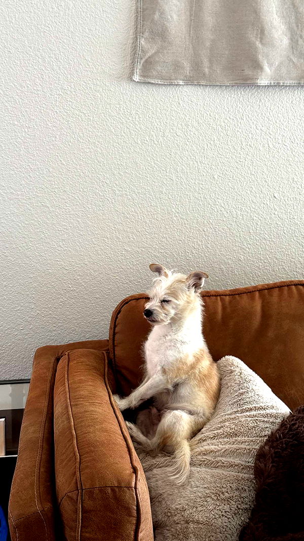 corinnakopf image ~ Altpins