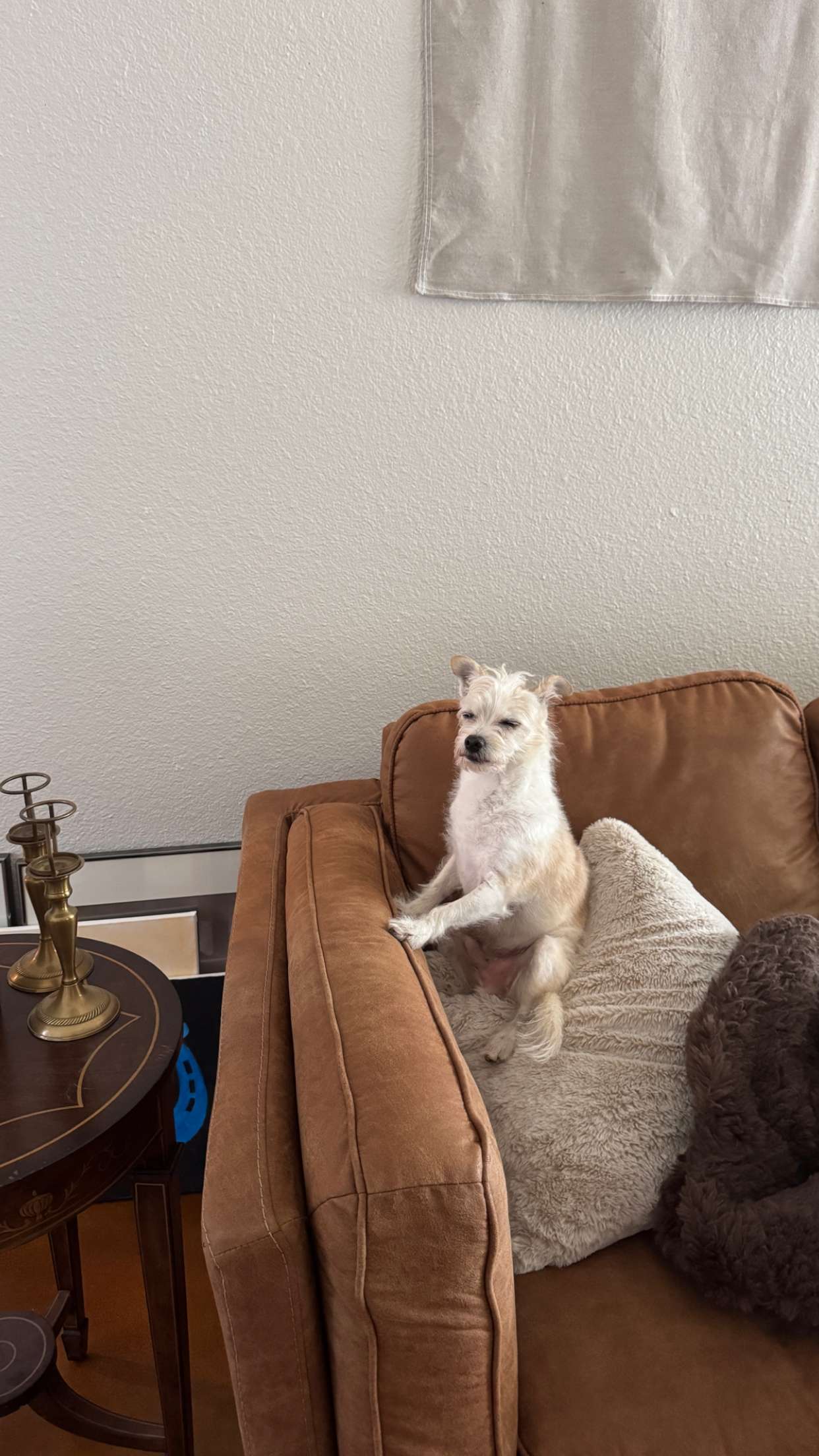 corinnakopf snapchat image archive image