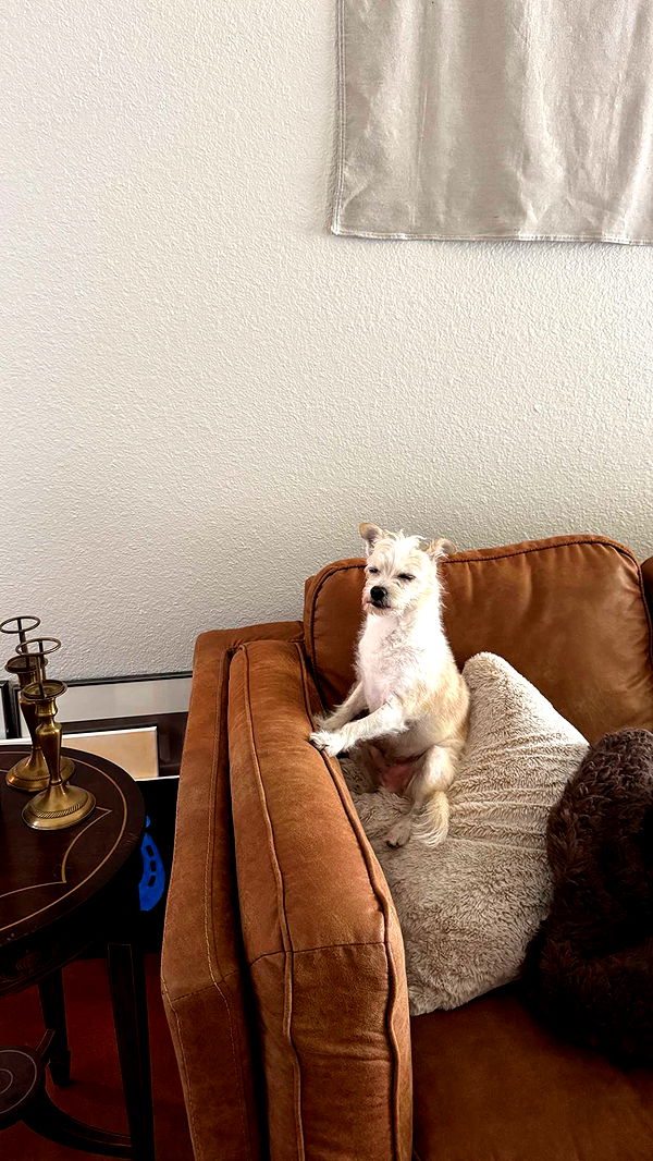 corinnakopf image ~ Altpins