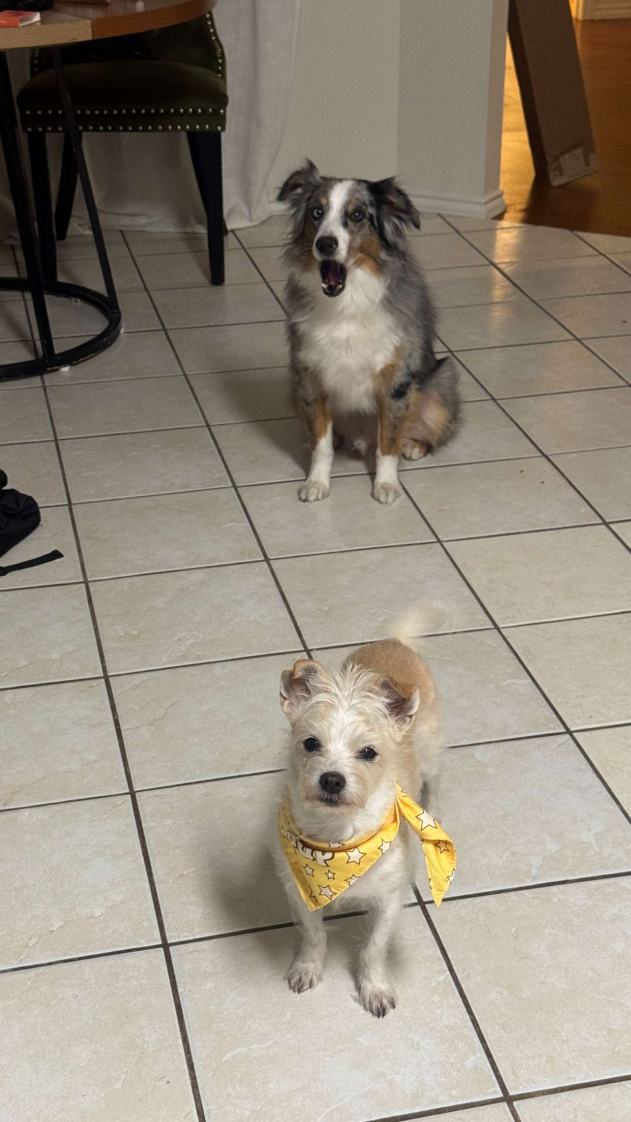 corinnakopf snapchat image archive image