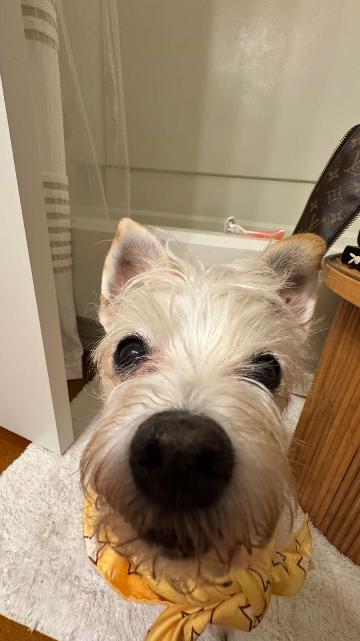 corinnakopf snapchat image archive image