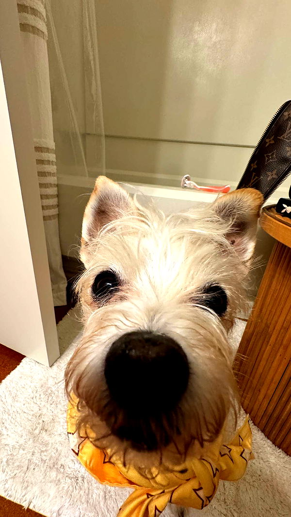 corinnakopf image ~ Altpins