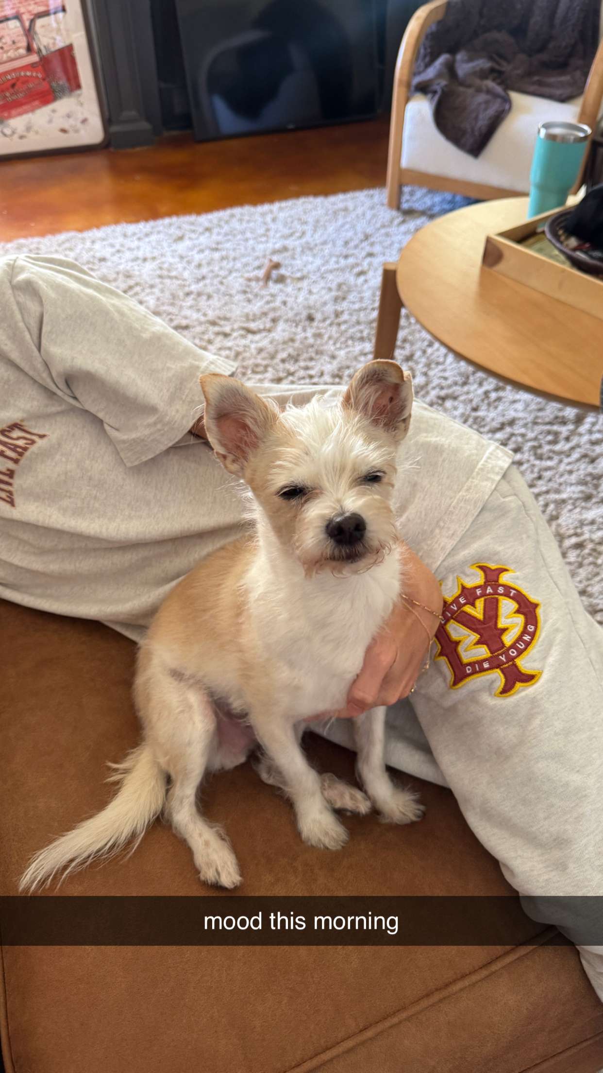 corinnakopf snapchat image archive image