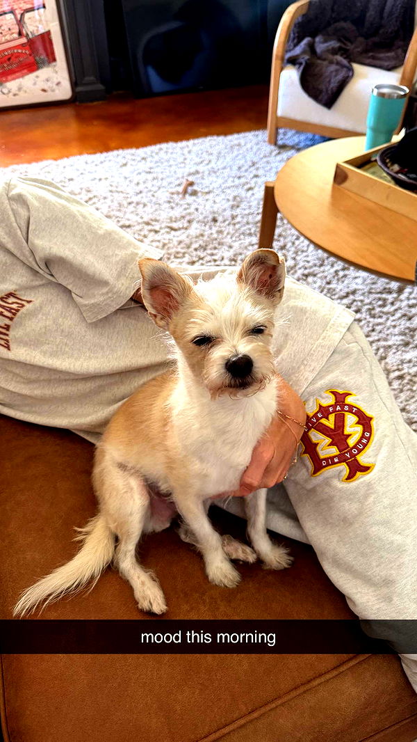 corinnakopf image ~ Altpins