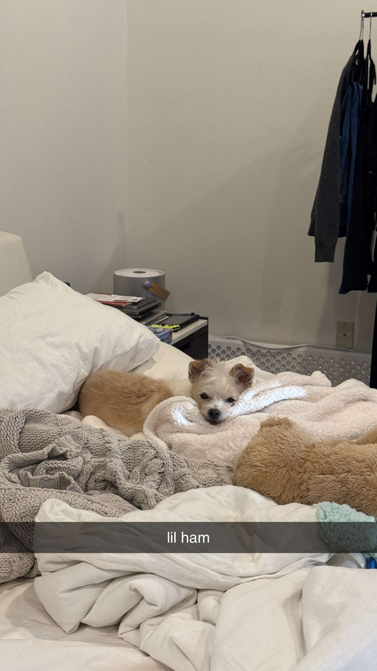 corinnakopf snapchat image archive image