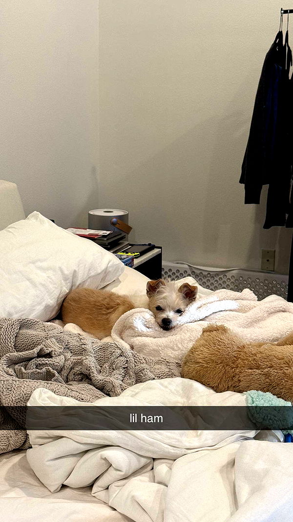 corinnakopf image ~ Altpins