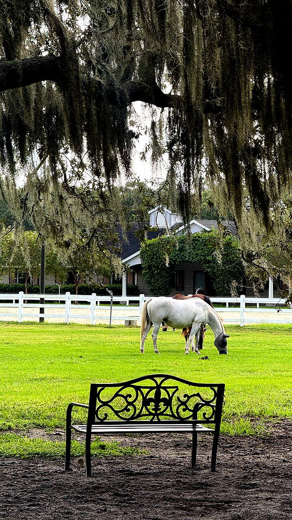 corinnakopf image ~ Altpins