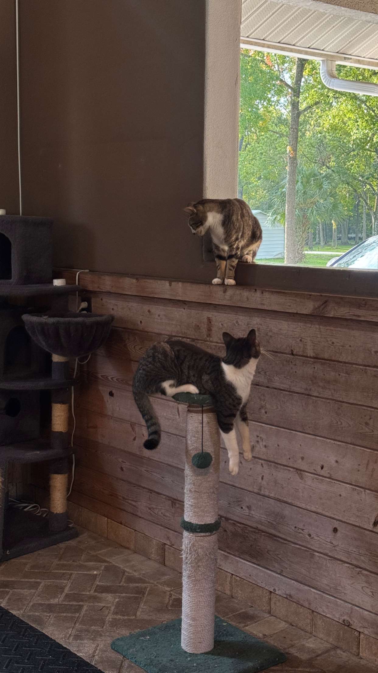 corinnakopf snapchat image archive image