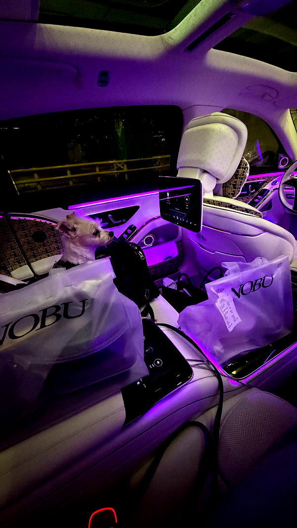 corinnakopf image ~ Altpins