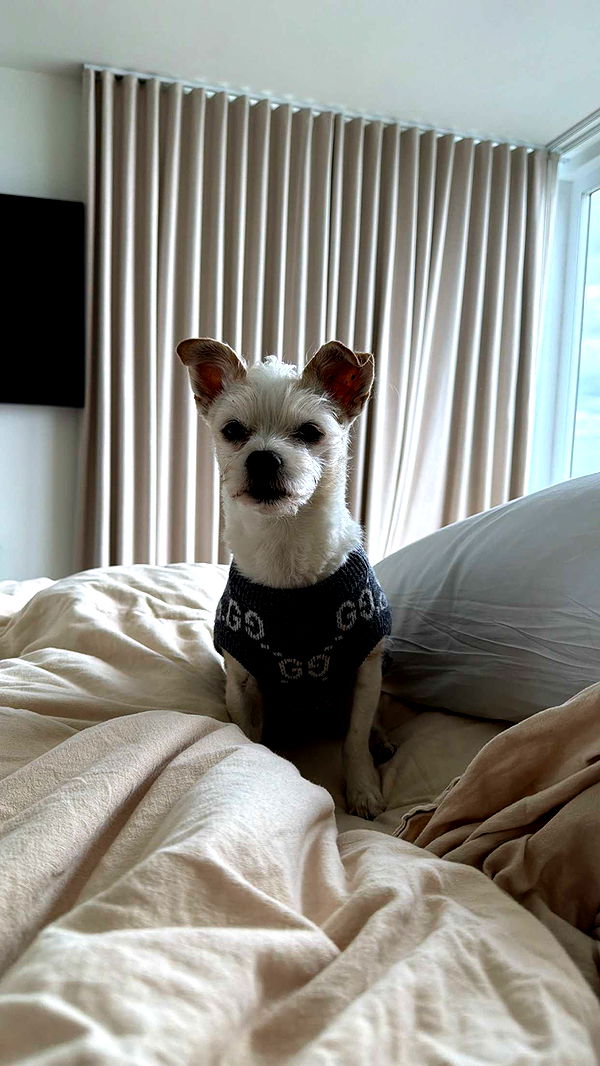 corinnakopf image ~ Altpins