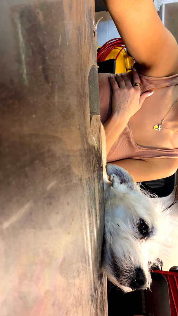 corinnakopf image ~ Altpins