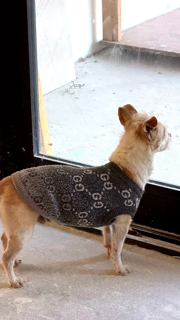 corinnakopf image ~ Altpins