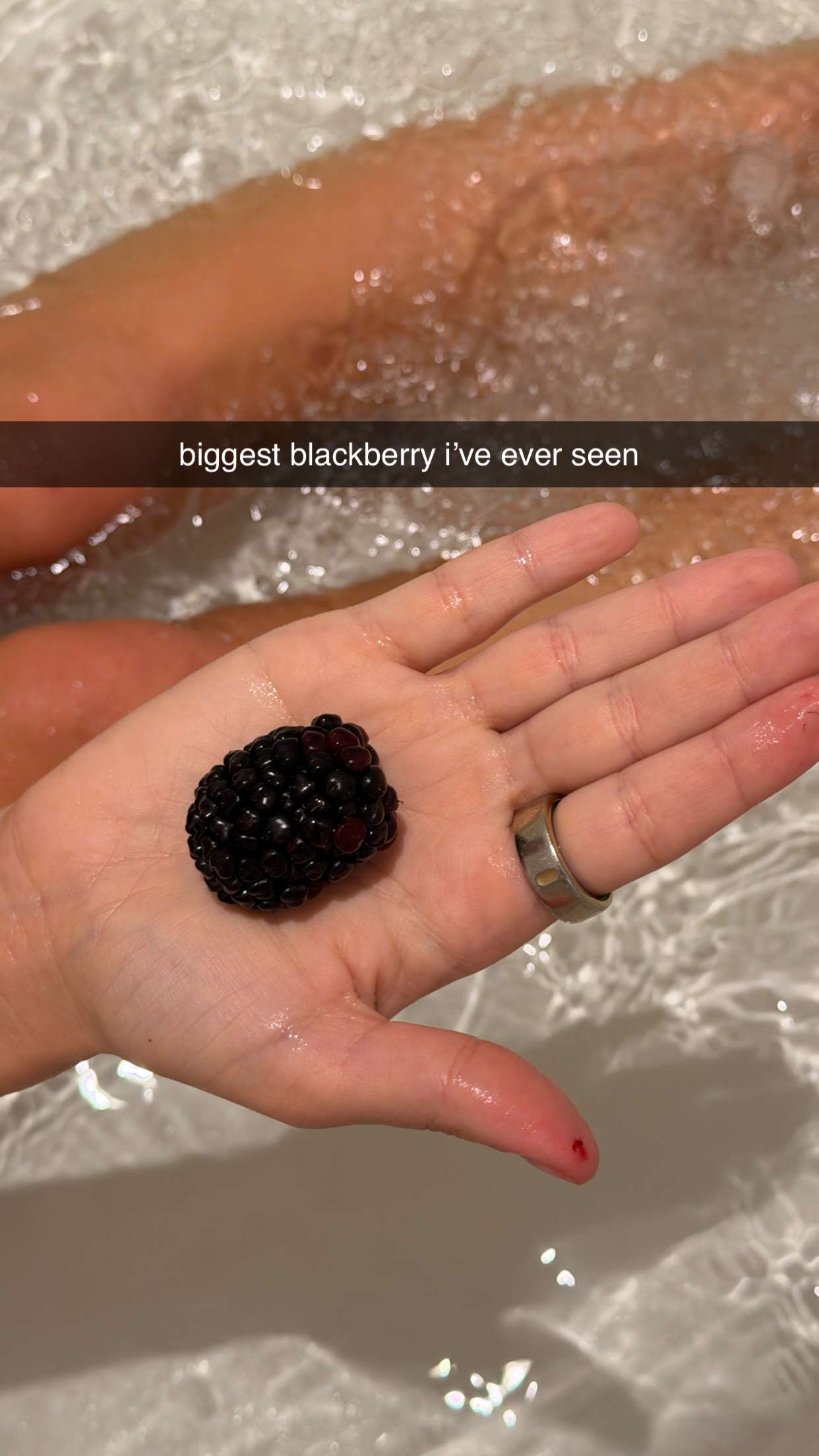 corinnakopf snapchat image archive image