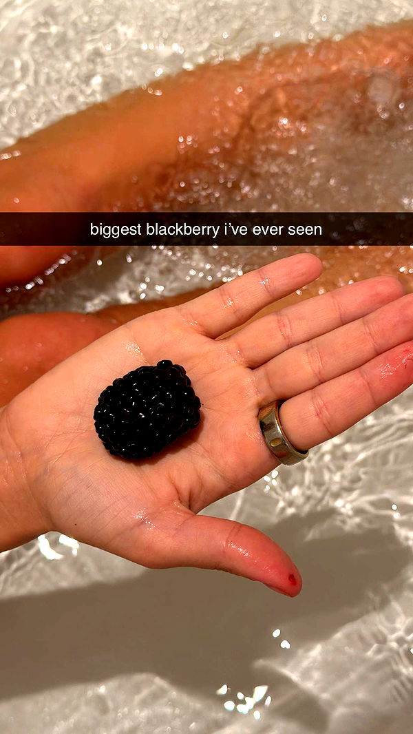 corinnakopf image ~ Altpins