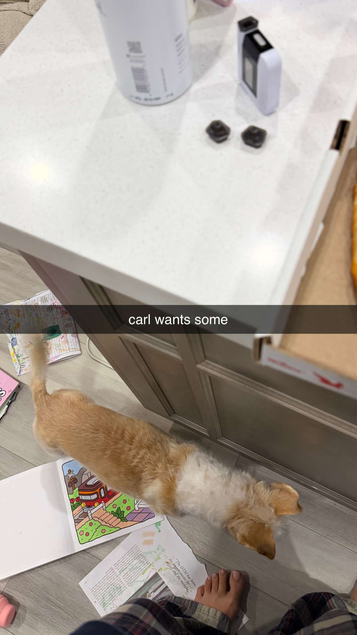 corinnakopf snapchat image archive image