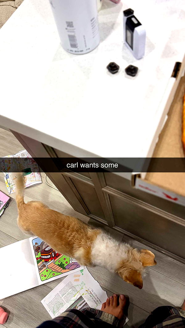 corinnakopf image ~ Altpins