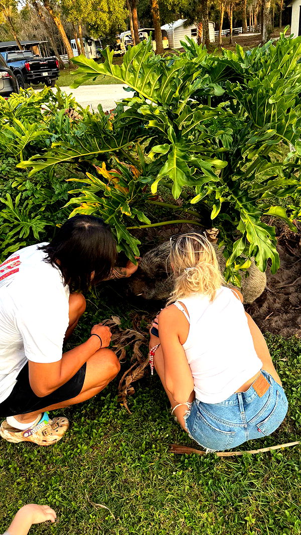 corinnakopf image ~ Altpins