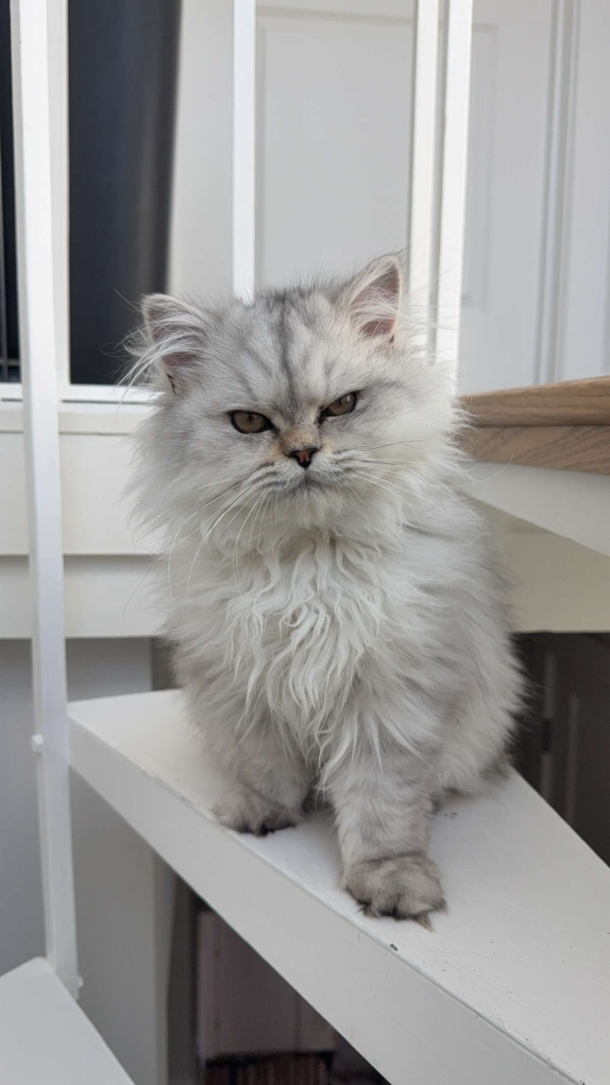 cruellamorganxo snapchat image archive image