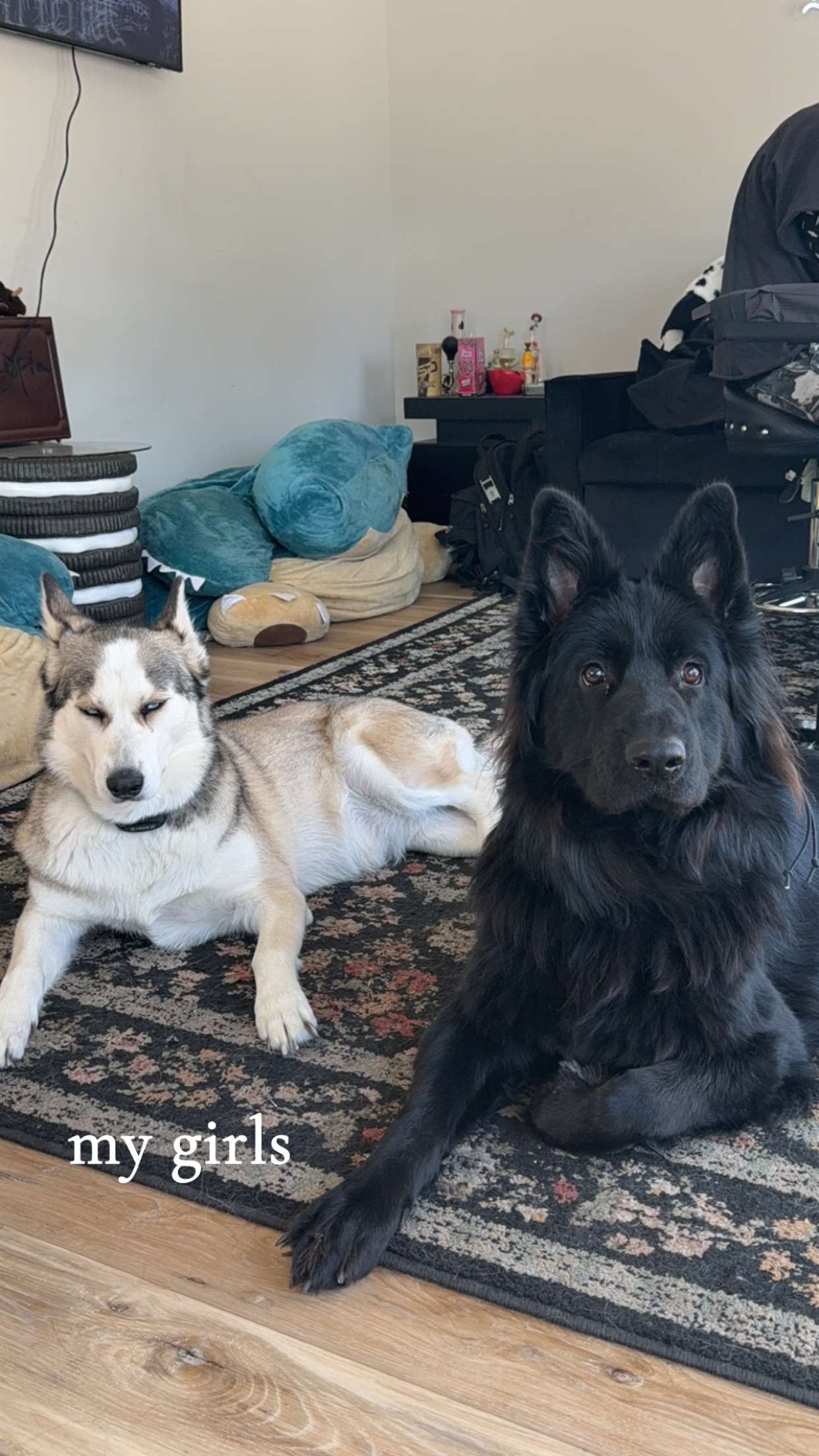 cruellamorganxo snapchat image archive image