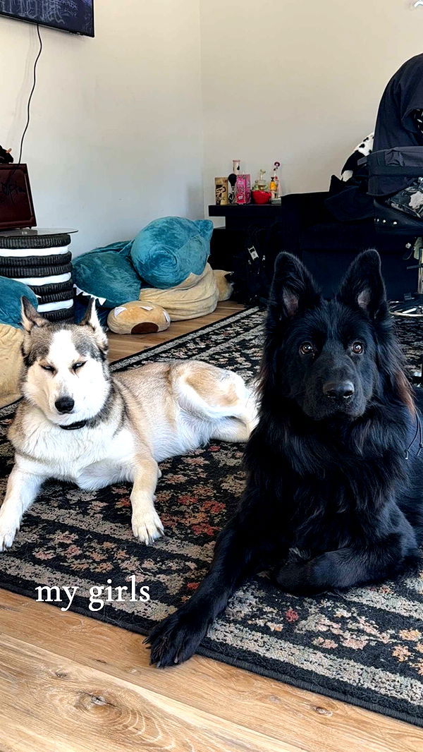 cruellamorganxo image ~ Altpins