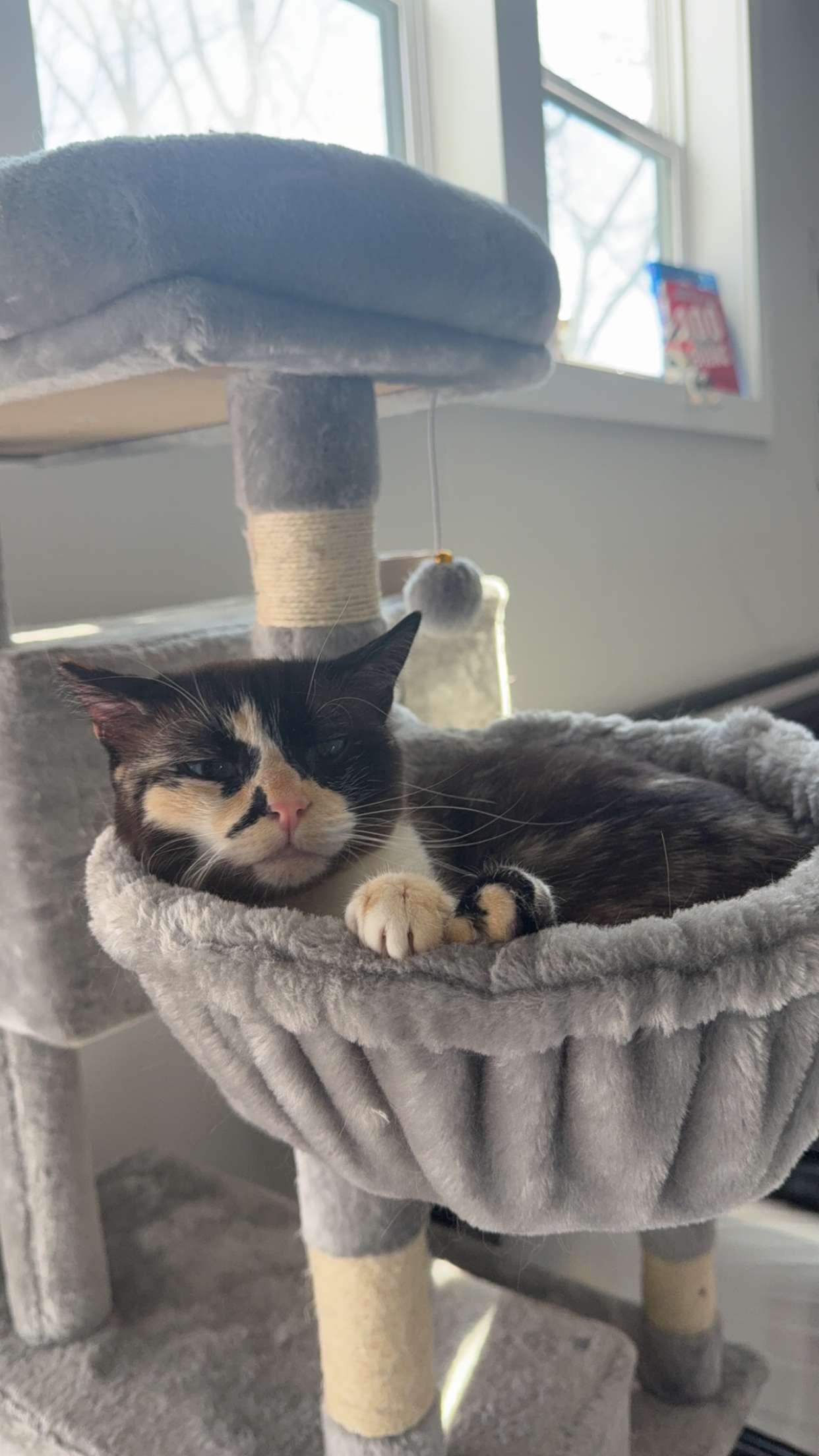 cruellamorganxo snapchat image archive image