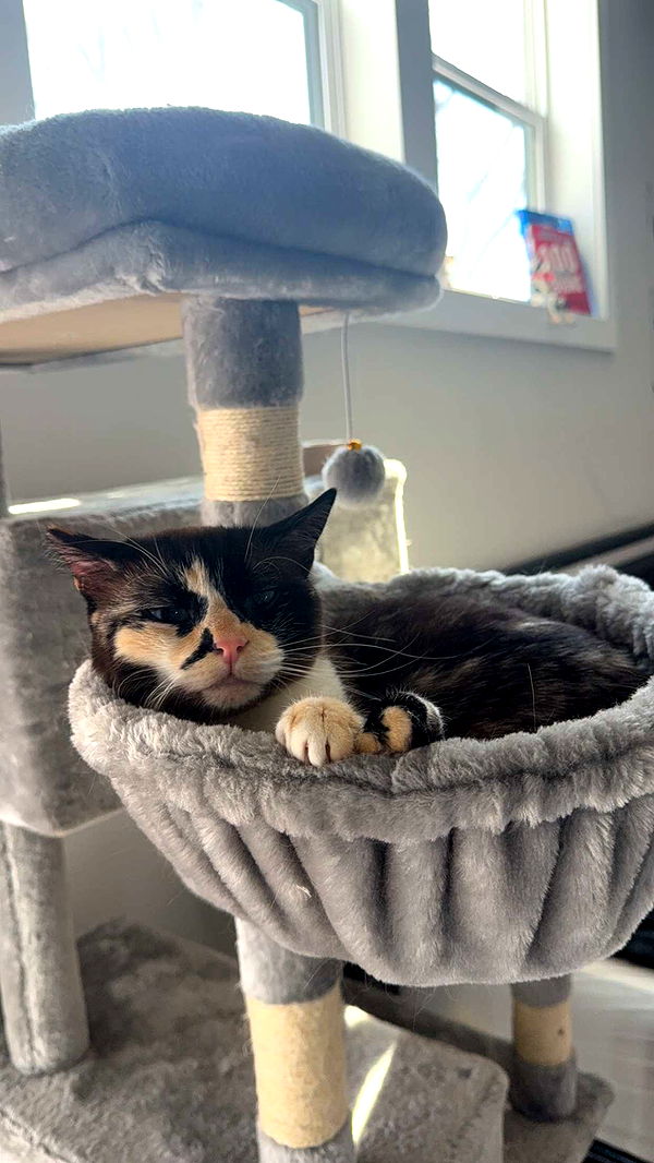 cruellamorganxo image ~ Altpins