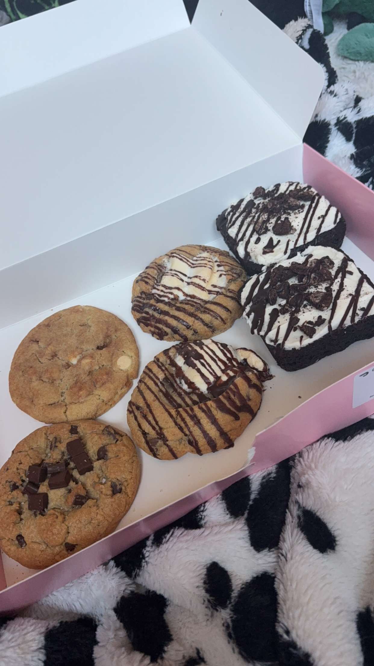 cruellamorganxo snapchat image archive image