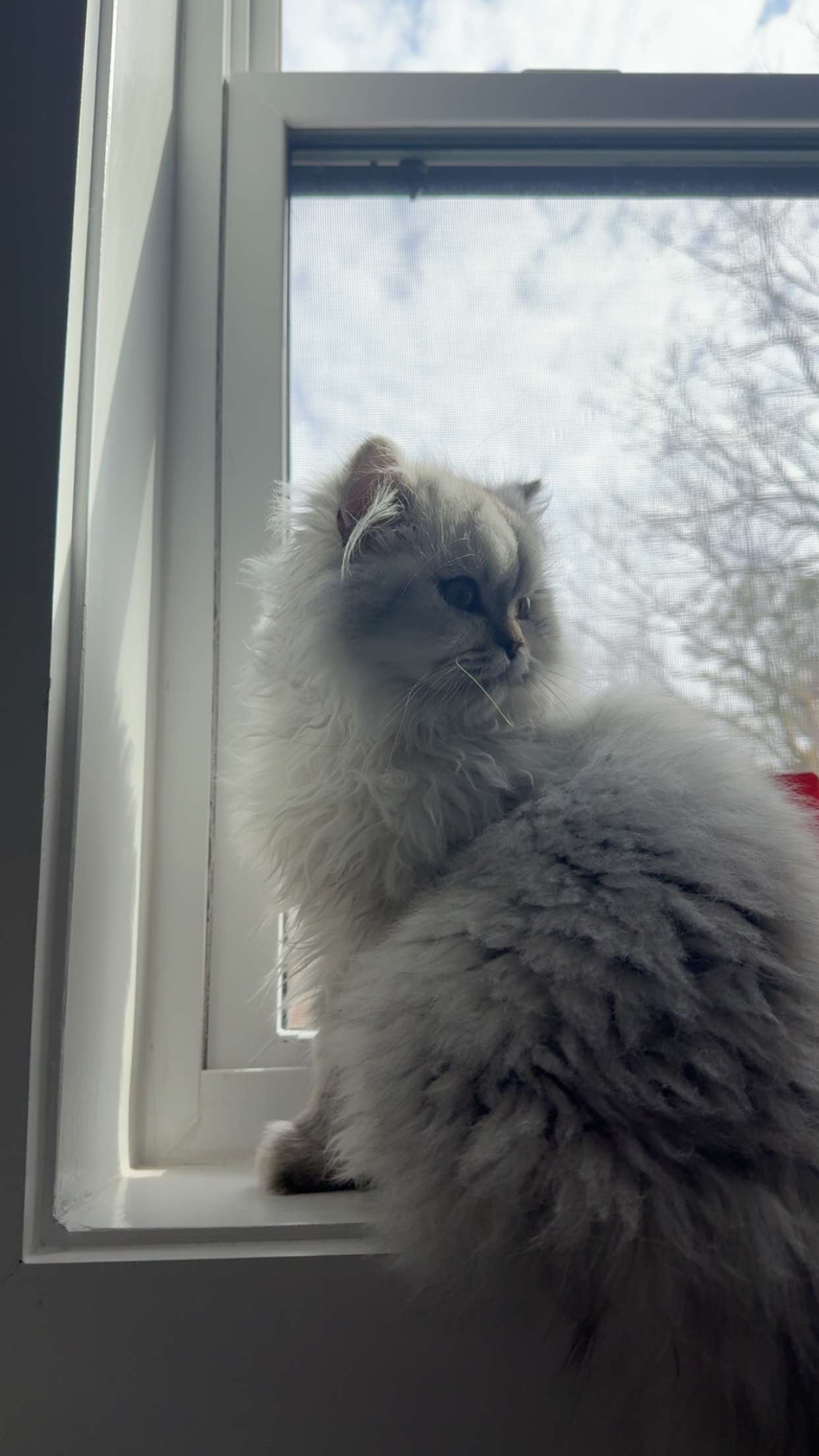 cruellamorganxo snapchat image archive image