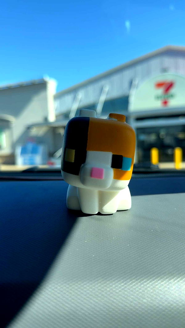 cruellamorganxo image ~ Altpins